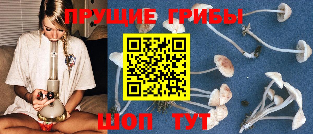 Псилоцибиновые грибы Magic Shrooms  Вход с VPN  Гуково  Псилоцибиновые грибы GOLDEN TEACHER 